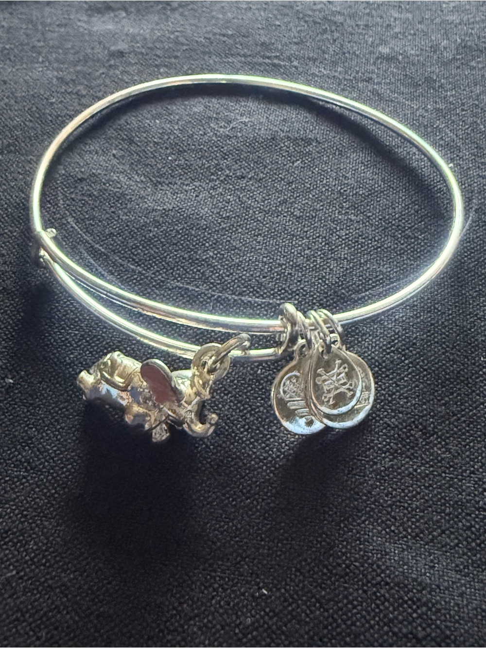 Alex and Ani Dumbo Bangle Bracelet